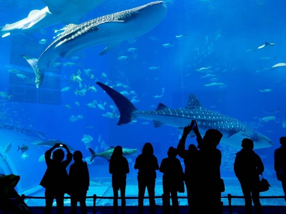 GARDALAND AQUARIUM