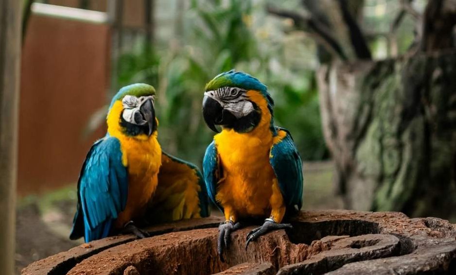 PARCO NATURA VIVA