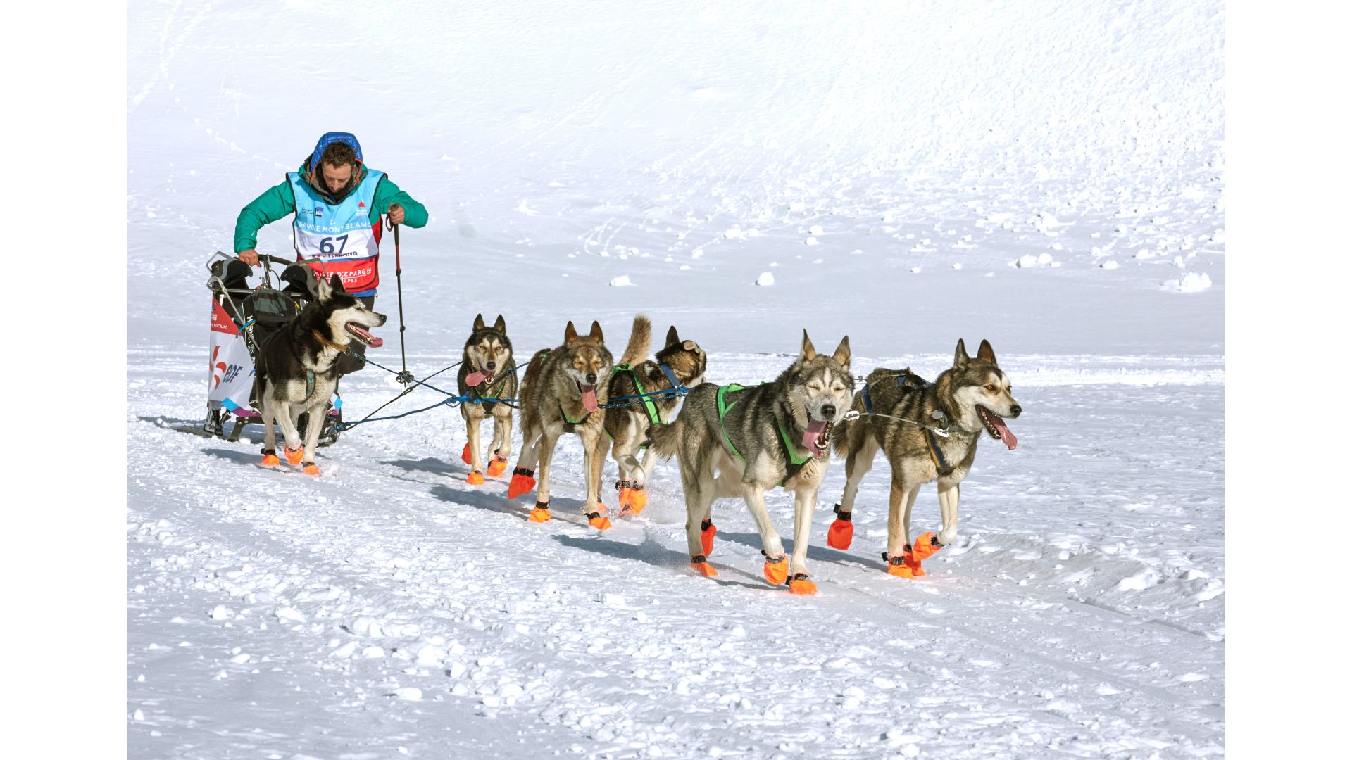 MISURE PER FOTO SITO OCEAN